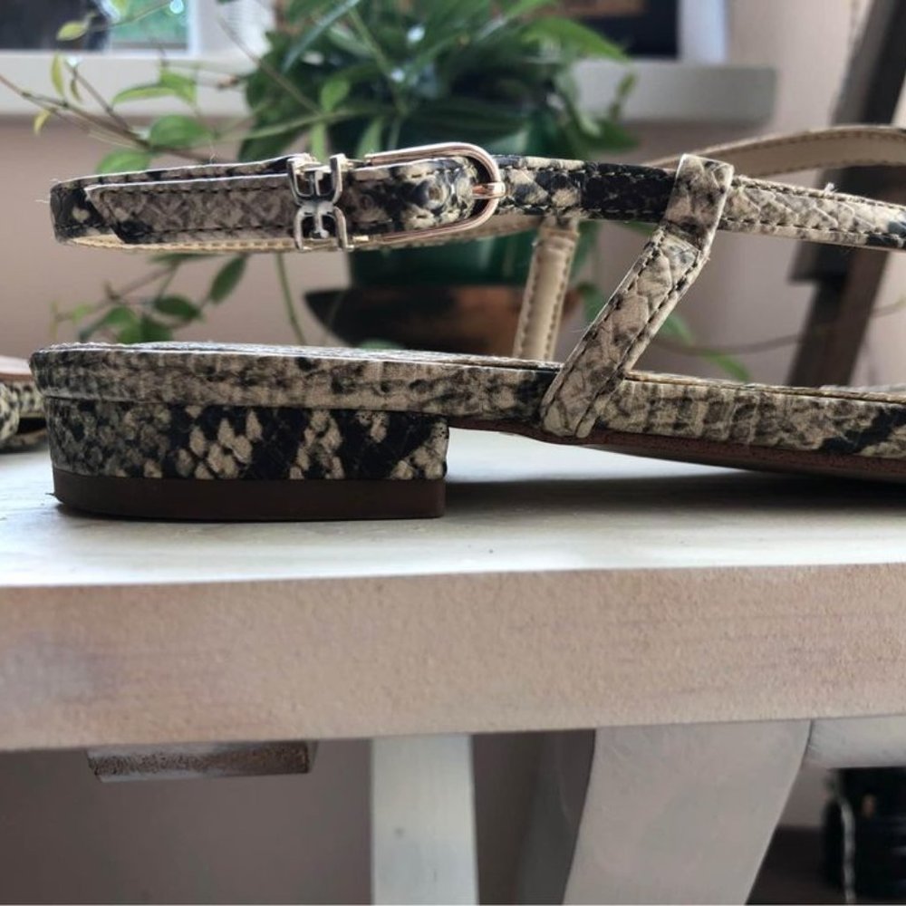 Sam Edelman Sandals - Picture 4 of 5